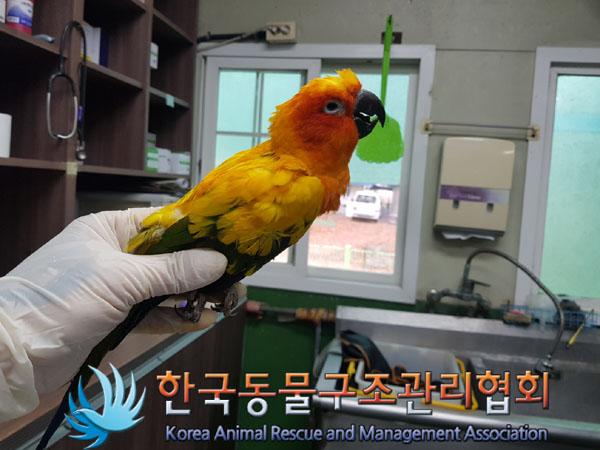 종료(자연사) 앵무…